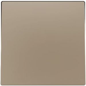 Zennio ZS55 Enkele schakelaarafdekking champagne 55mm