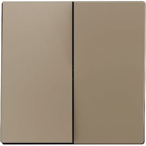 Zennio ZS55 Dubbele schakelaarafdekking champagne 55mm