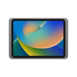 Displine Dame Wall 2.0 houder voor iPad Pro 11" (2024) titanium geanodiseerd