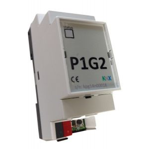 Domoticom P1G2 - P1 Gateway t.b.v. Slimme Meter
