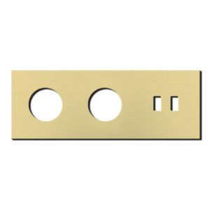 Basalte Socket - Afdekraam drievoudig met USB - brushed brass