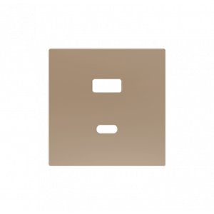 Zennio ZS55 USB-C+A centraalplaat champagne 55mm
